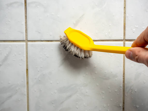 Best Attic Mold Removal  in Worth, IL