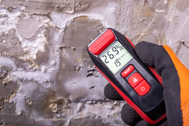 Best Commercial Mold Removal  in Worth, IL