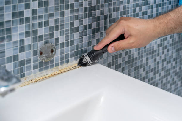 Best Best Mold Removal Companies  in Worth, IL