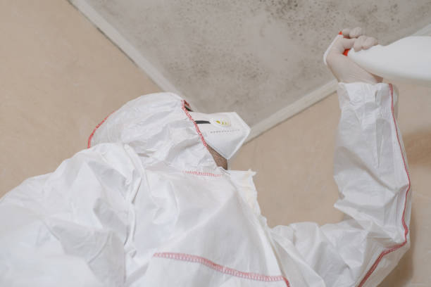 Best Toxic Mold Removal  in Worth, IL